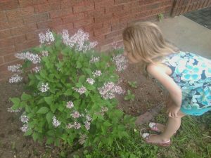 8743534855_014ae9b4c4_o