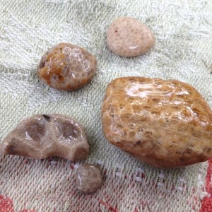 faef33f2128411e3af571231390ef217_7