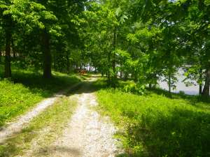 IMGP0625